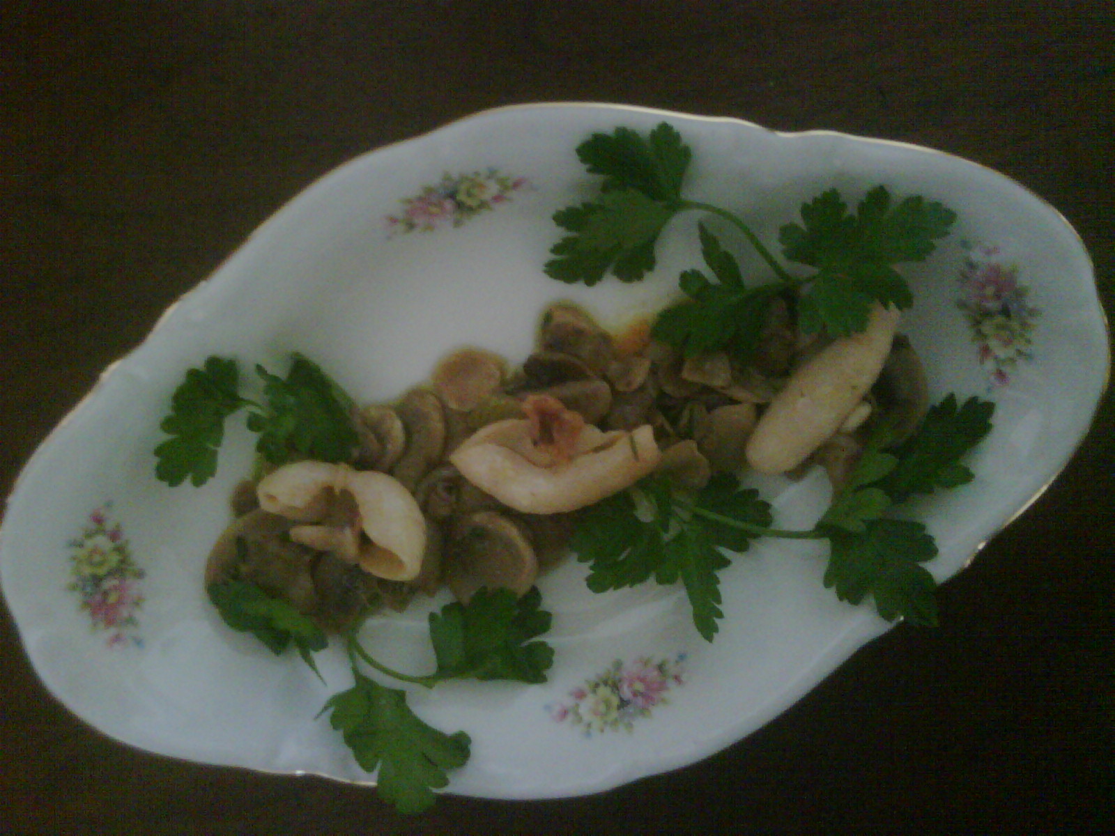 moscardini funghi